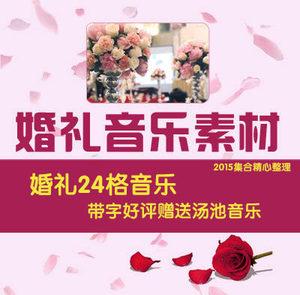 空白格可以在婚礼唱吗？（24格婚礼后期音乐）-图3