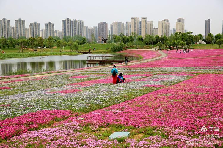 洋湖湿地公园共有几期？（上海花海企划婚礼会馆）-图3