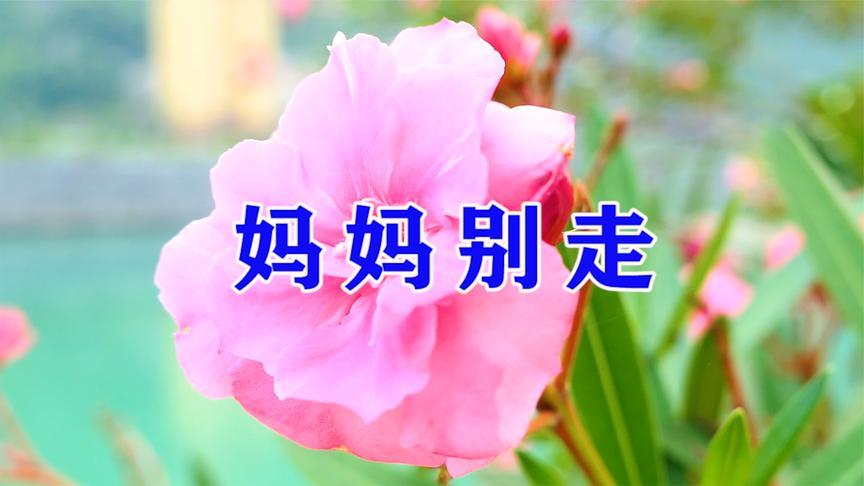 关于父母的歌曲十大撕心裂肺歌曲？（婚礼感恩爸妈的歌）-图2